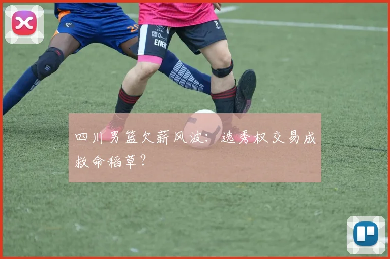 四川男篮欠薪风波：选秀权交易成救命稻草？