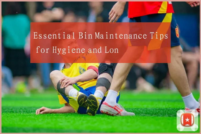 Essential Bin Maintenance Tips for Hygiene and Lon