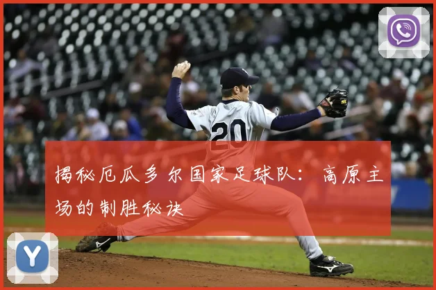揭秘厄瓜多尔国家足球队：高原主场的制胜秘诀
